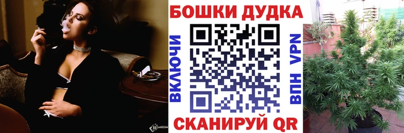 A PVP Новоалтайск