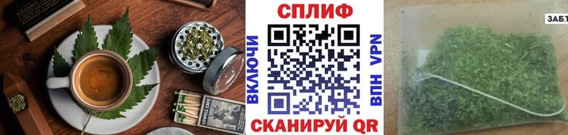 где купить мориарти телеграм Еда ТГК марихуана Новоалтайск hydra