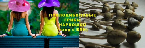 соль ск Алексеевка