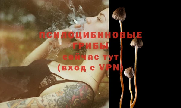 соль ск Алексеевка