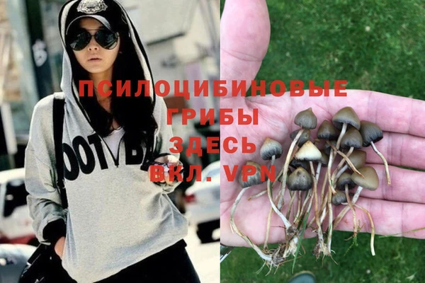 синтетический гашиш Алексин
