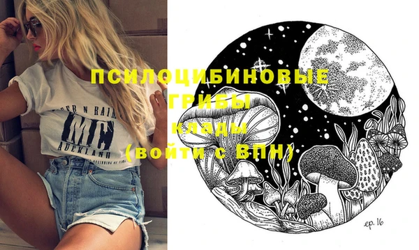твердый Вязники