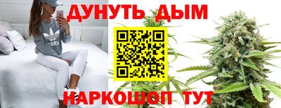 прущие грибы Обнинск