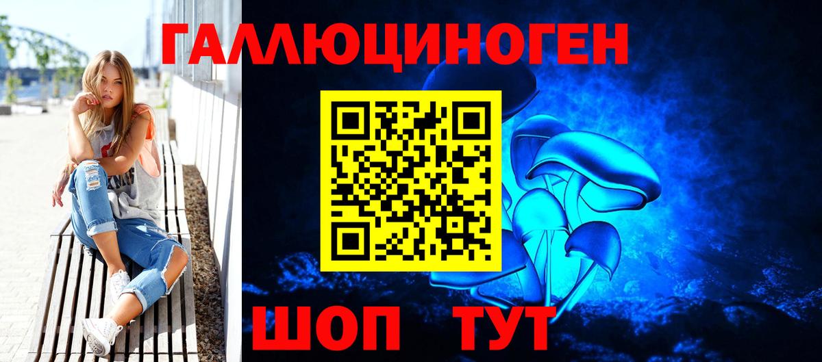 Псилоцибиновые грибы Psilocybe Новоалтайск