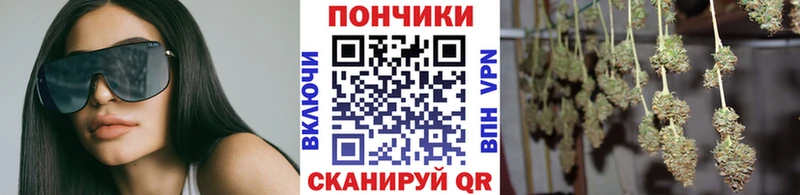 хочу наркоту  Новоалтайск  Бошки Шишки THC 21% 